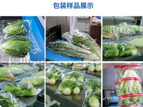 蔬菜包装机样品案例